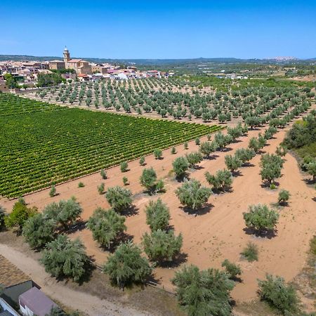 Hotel & Resort Vilar Rural D'Arnes By Serhs Hotels Sant Carlos de la Ràpita Eksteriør bilde
