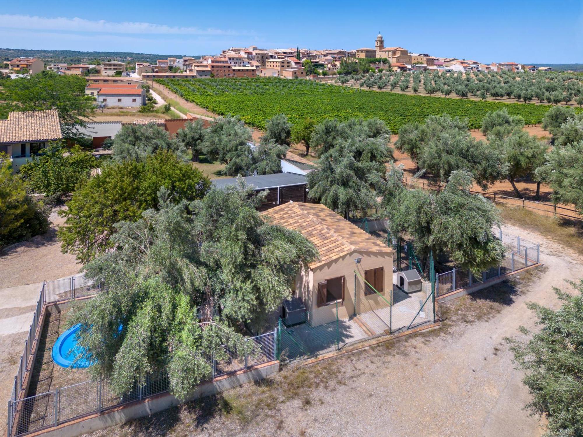 Hotel & Resort Vilar Rural D'Arnes By Serhs Hotels Sant Carlos de la Ràpita Eksteriør bilde