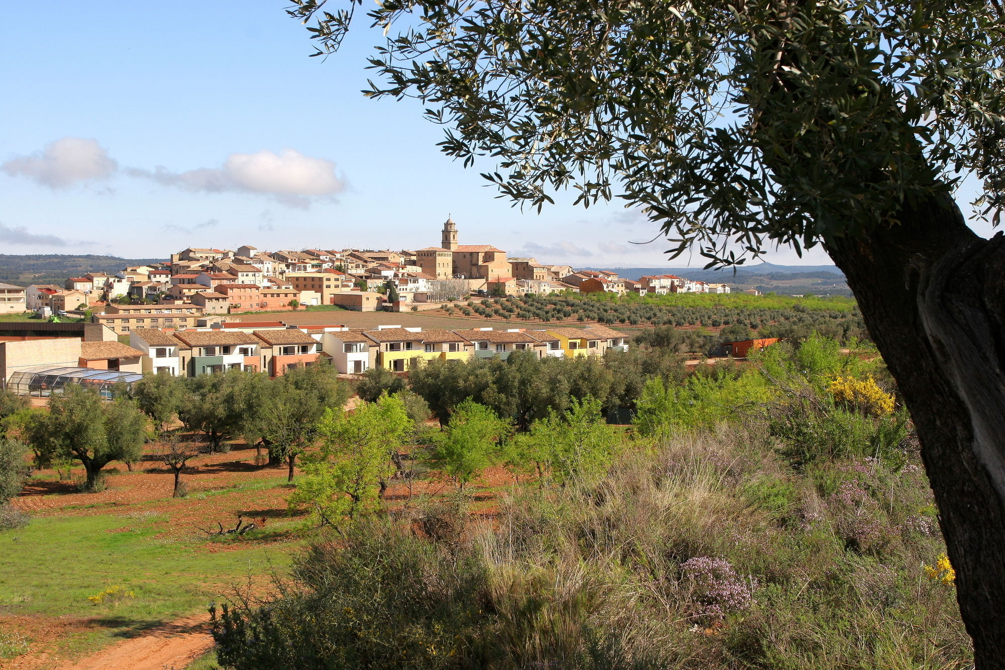 Hotel & Resort Vilar Rural D'Arnes By Serhs Hotels Sant Carlos de la Ràpita Eksteriør bilde
